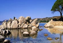 亚星游戏：[NBA]东契奇持球单打 加速突破上篮打成2+1.